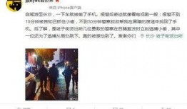 所长夫人爆料视频大全,揭秘背后惊人真相