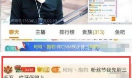 二辰爆料小黄豆微博视频,小黄豆微博视频揭秘幕后故事